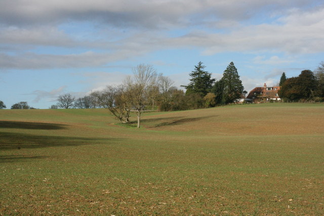 File:The remains of a hedge - geograph.org.uk - 3331108.jpg