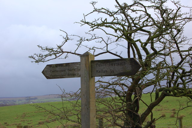 File:Tree and sign near Featherstone - geograph.org.uk - 302398.jpg