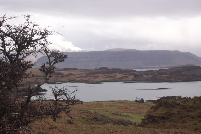 File:Ulva3.jpg