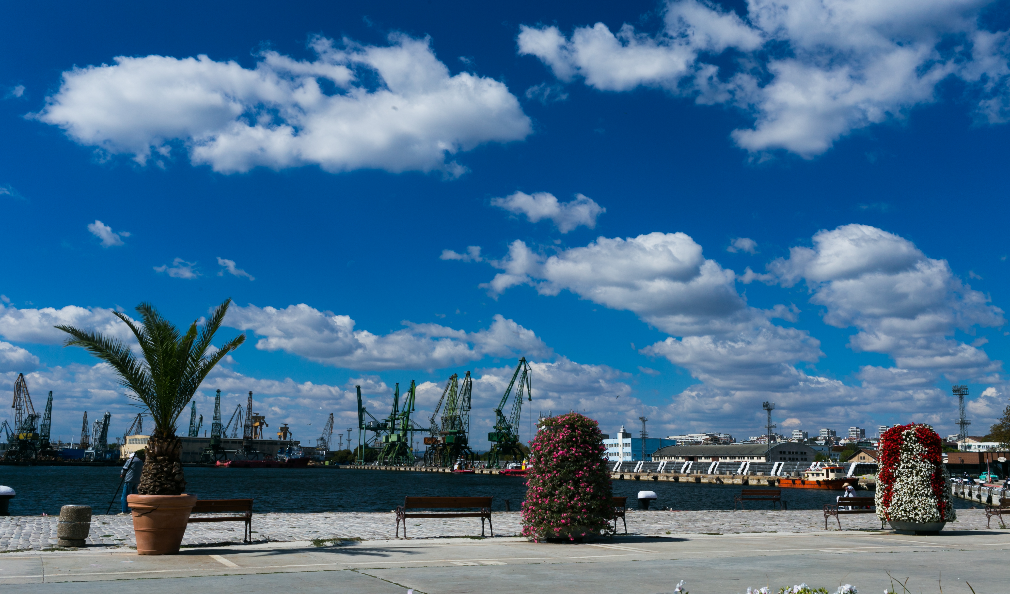 Город порт в болгарии коммерческая недвижимость в словении