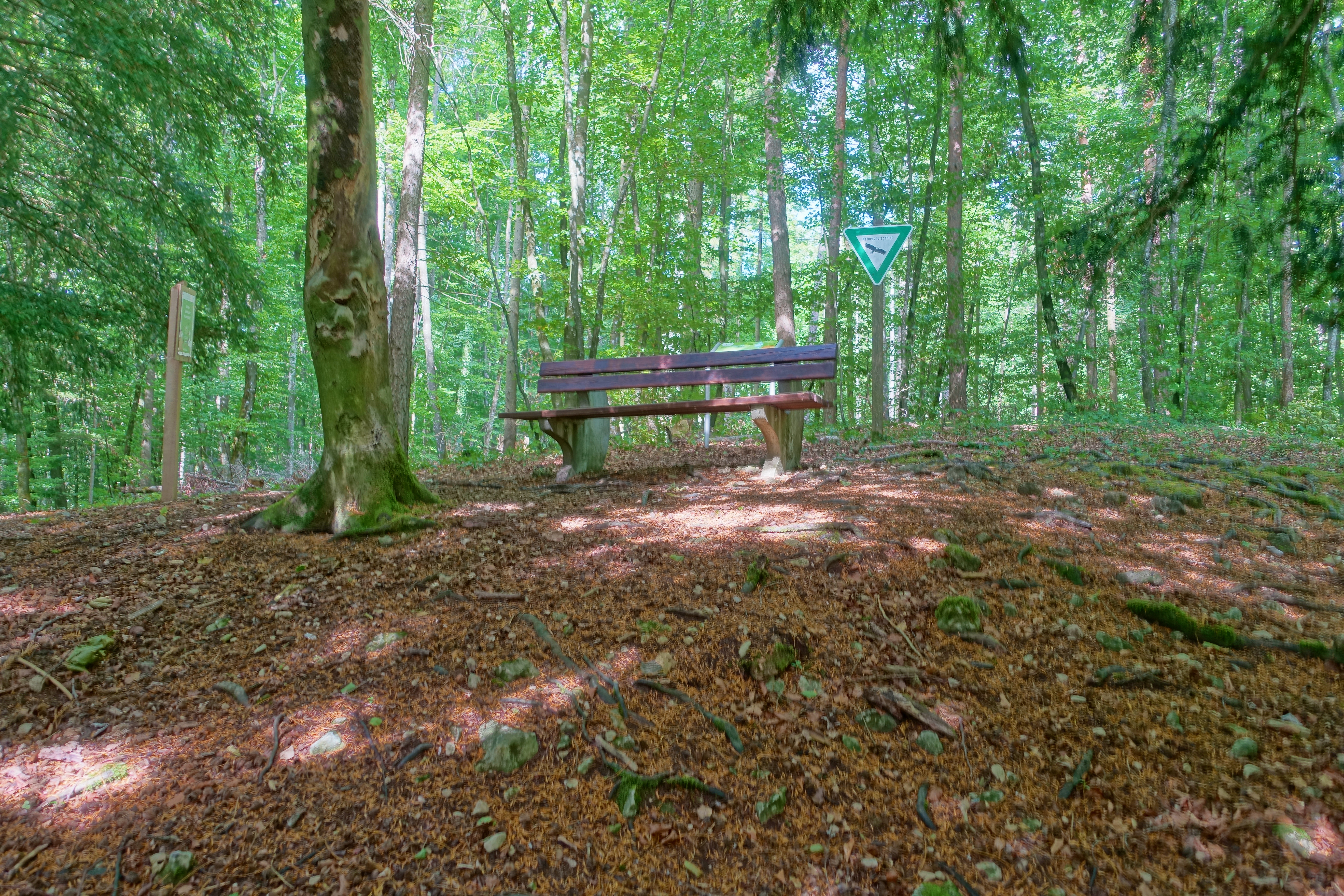 Naturschutzgebiet Eibenkopf