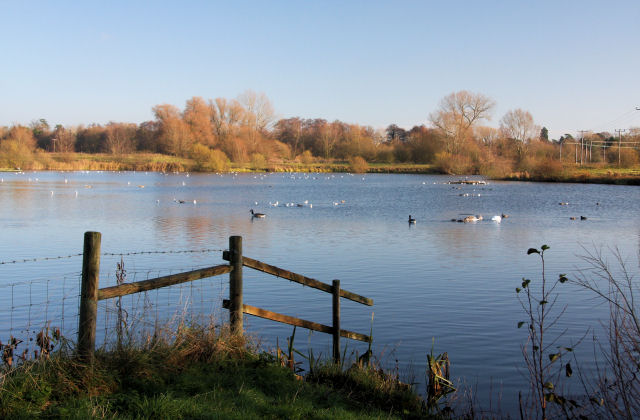 File:Wilson's Flood, Lackford Lakes - geograph.org.uk - 1068716.jpg