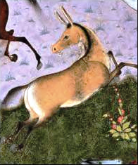 File:Akvan, The Onager-Div (The Shahnama of Shah Tahmasp).png