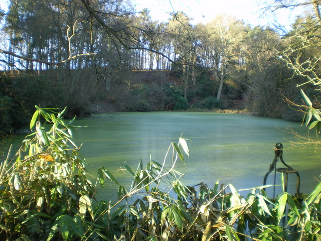 File:Bath Pool, Hatton Grange - geograph.org.uk - 1627004.jpg