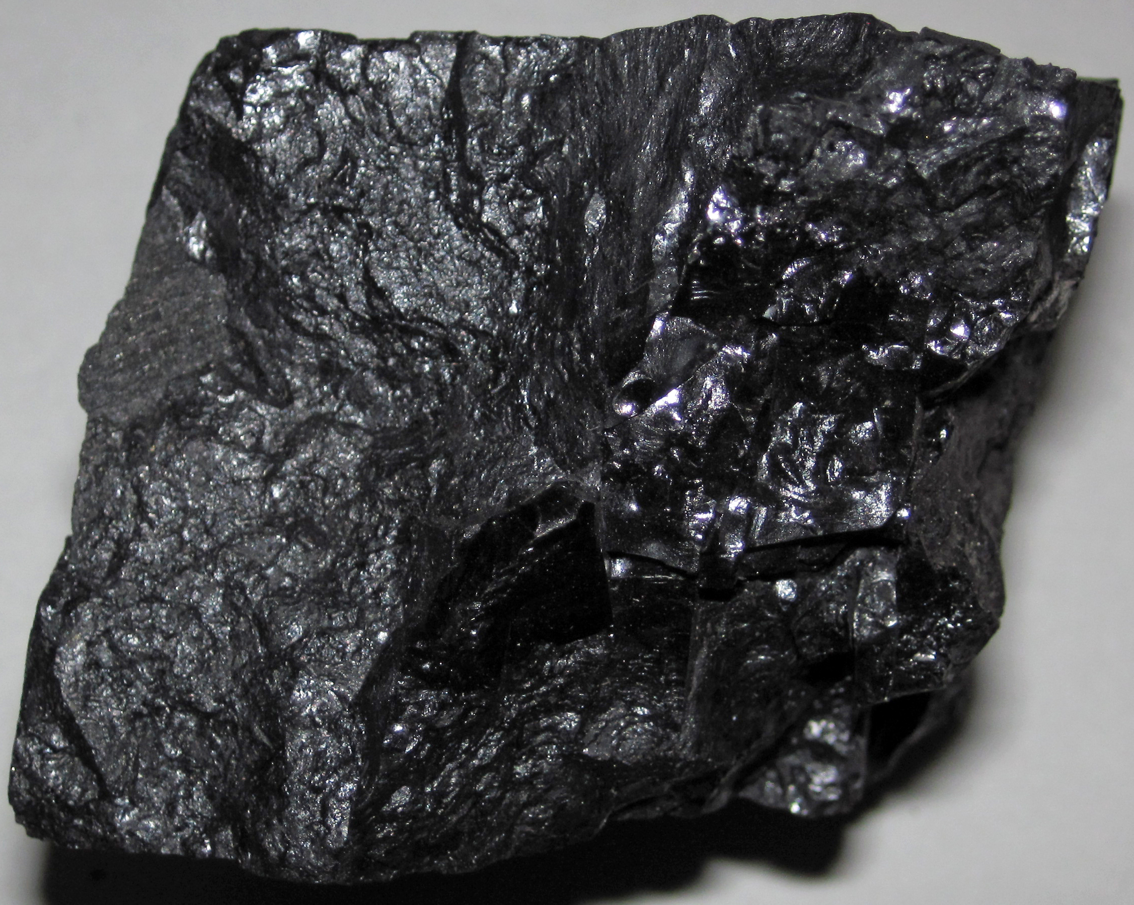 Buyer steam coal фото 2