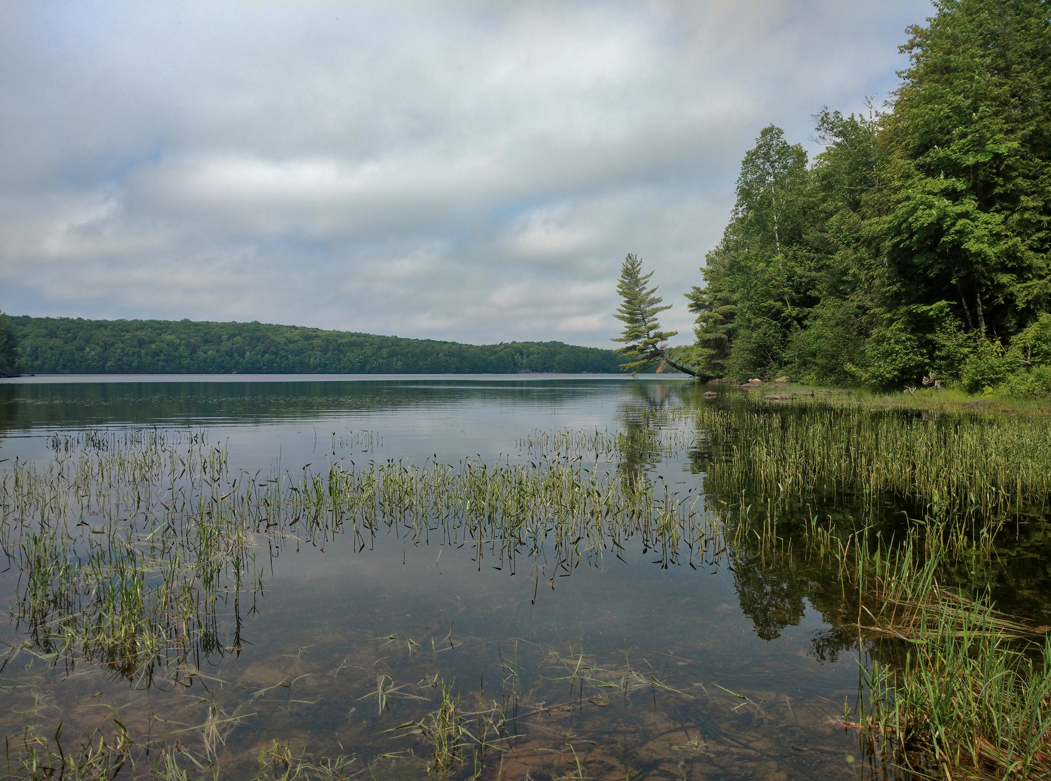 Первое озеро ящики. Озеро бутылка. Озеро бутылка Раевская. Lake Bottle.