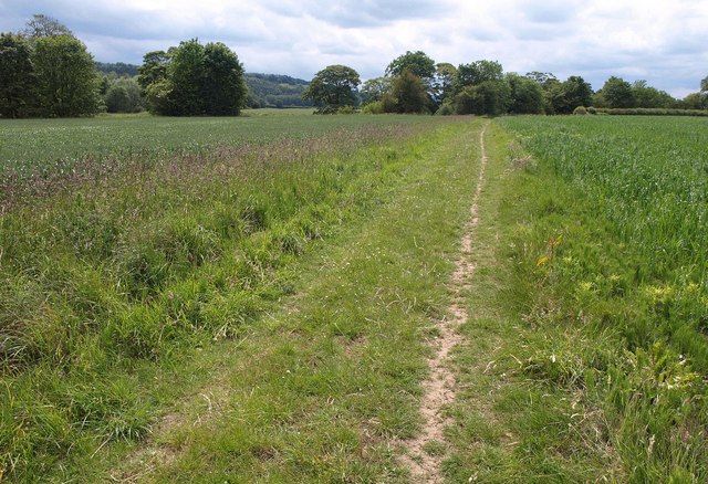 File:Bridleway to the Wharfe - geograph.org.uk - 2536591.jpg