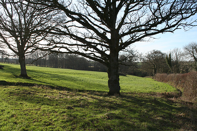 File:Broadwoodkelly, near Oakley House - geograph.org.uk - 329700.jpg