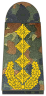 File:Bundeswehr-OF-9-Gen.png