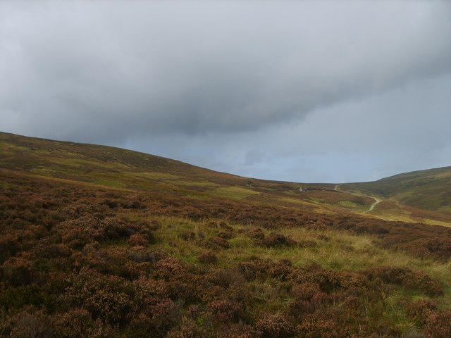 File:By Hornby Road - geograph.org.uk - 1520598.jpg