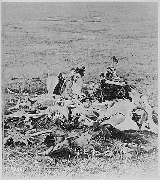 File:Custer's Last Stand, 1877.png