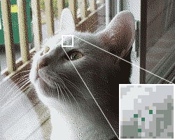 An illustration of dither used in image processing. A random deviation has been inserted before reducing the palette to only 16 colors, which is analogous to the effect of dither on an audio signal.