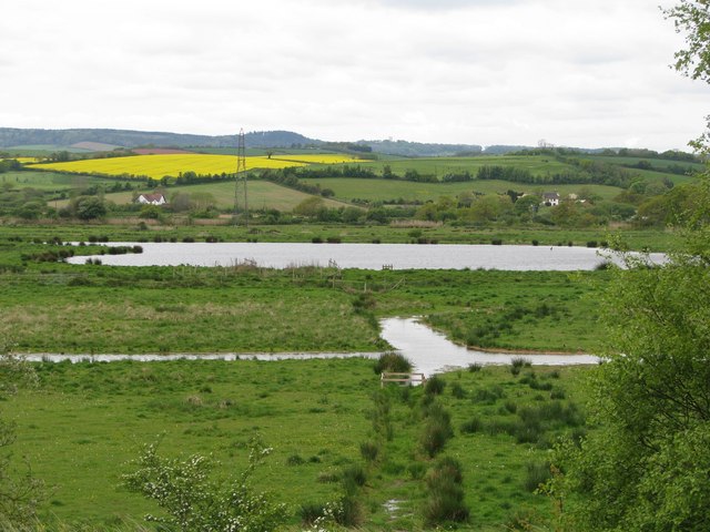 File:Exminster marshes - geograph.org.uk - 1285830.jpg