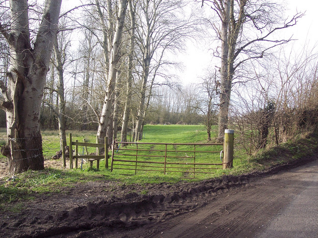 File:Footpath to Choulston Farm - geograph.org.uk - 362635.jpg