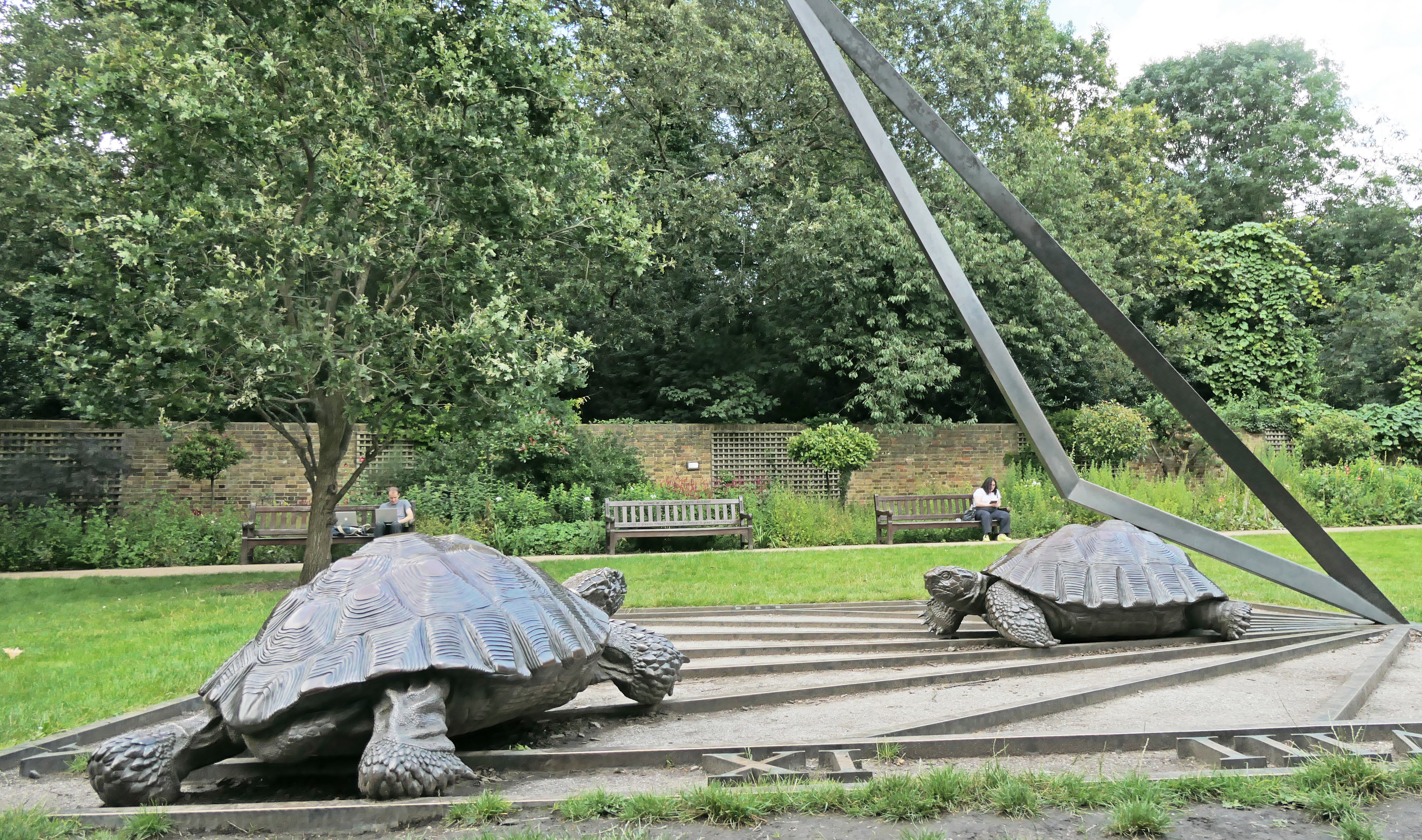 Tortoises with Triangle and Time