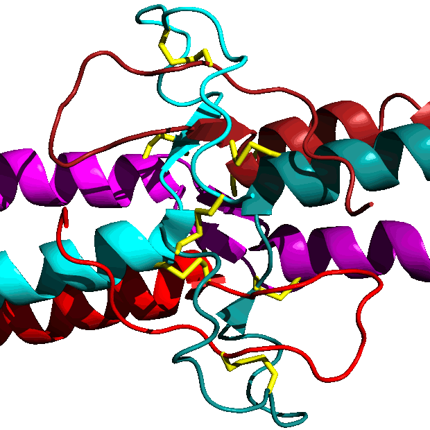 File humans. Домен PNG. Subdomain PNG.