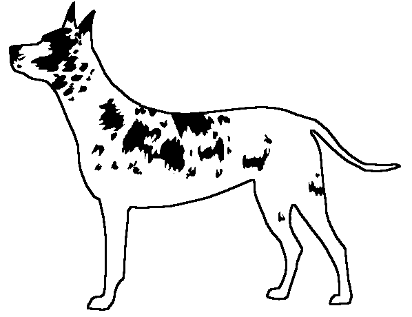 File:Icon harlequin dog.gif