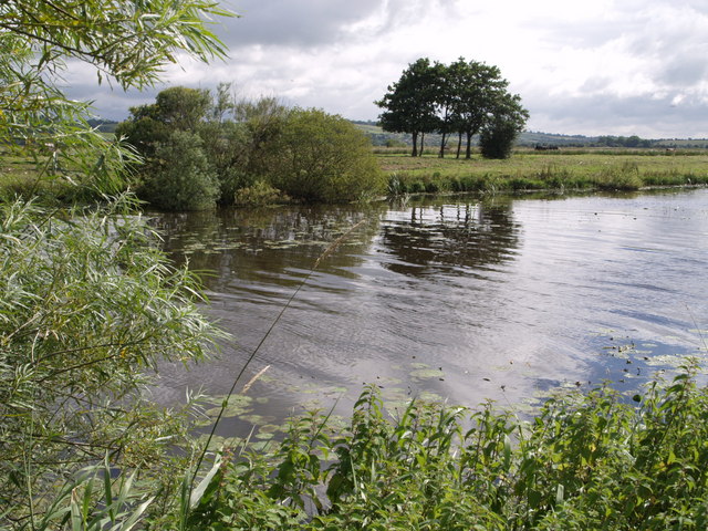 File:King's Sedgemoor Drain - geograph.org.uk - 492128.jpg