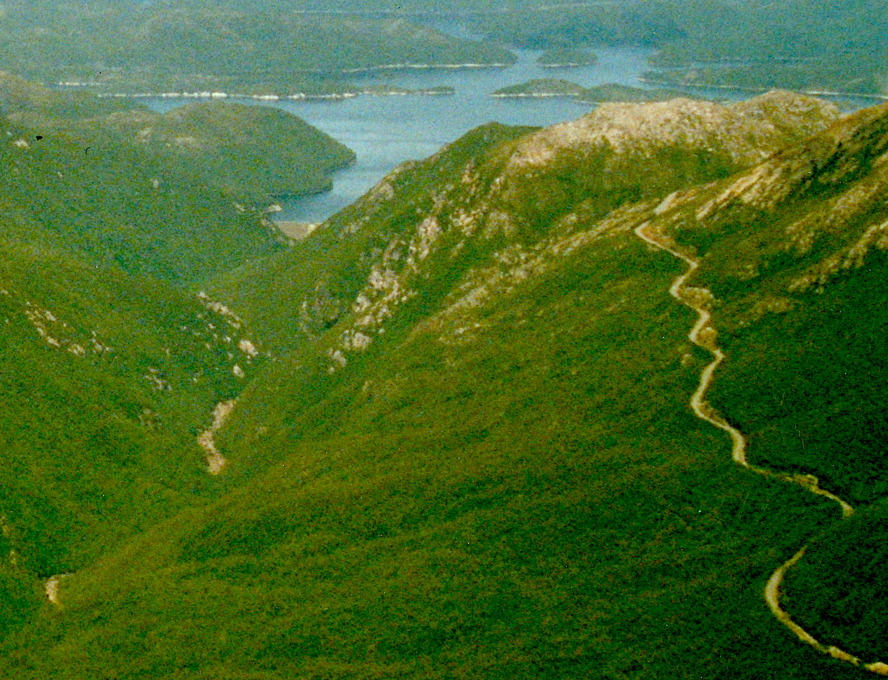 King River, Тасмания. Король реки. Savage River Tasmania.