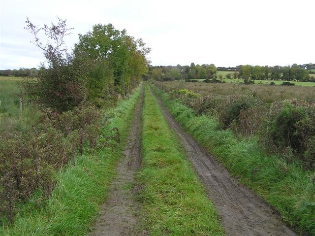 File:Lane at Clydestown - geograph.org.uk - 1007031.jpg