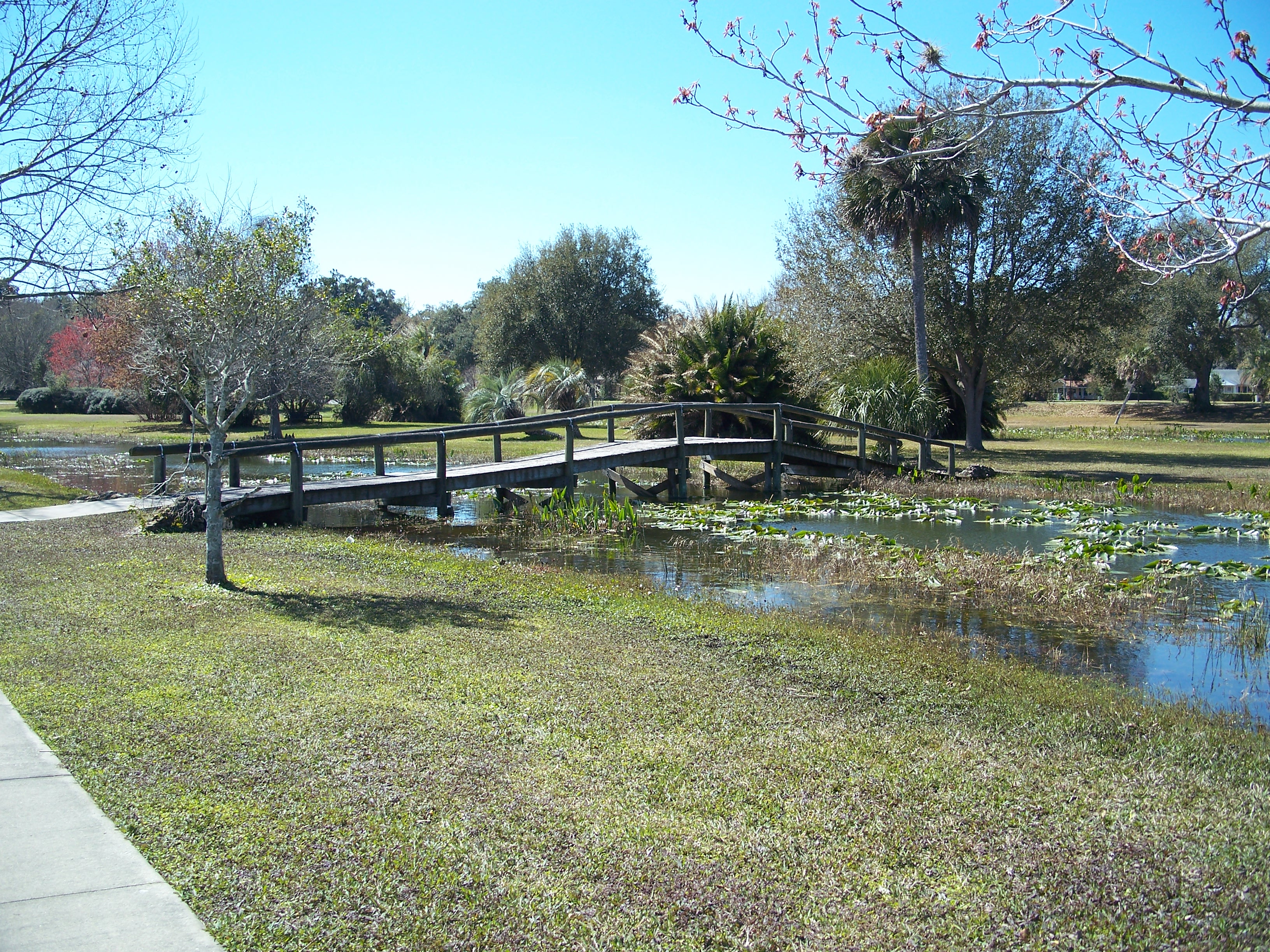 File Leesburg Fl Venetian Gardens Bridge05 Jpg Wikimedia Commons