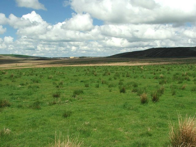 File:Looking across Watsonburn fields. - geograph.org.uk - 434269.jpg