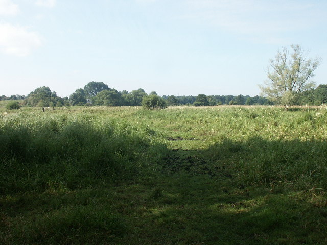 Marston Marshes - geograph.org.uk - 27746