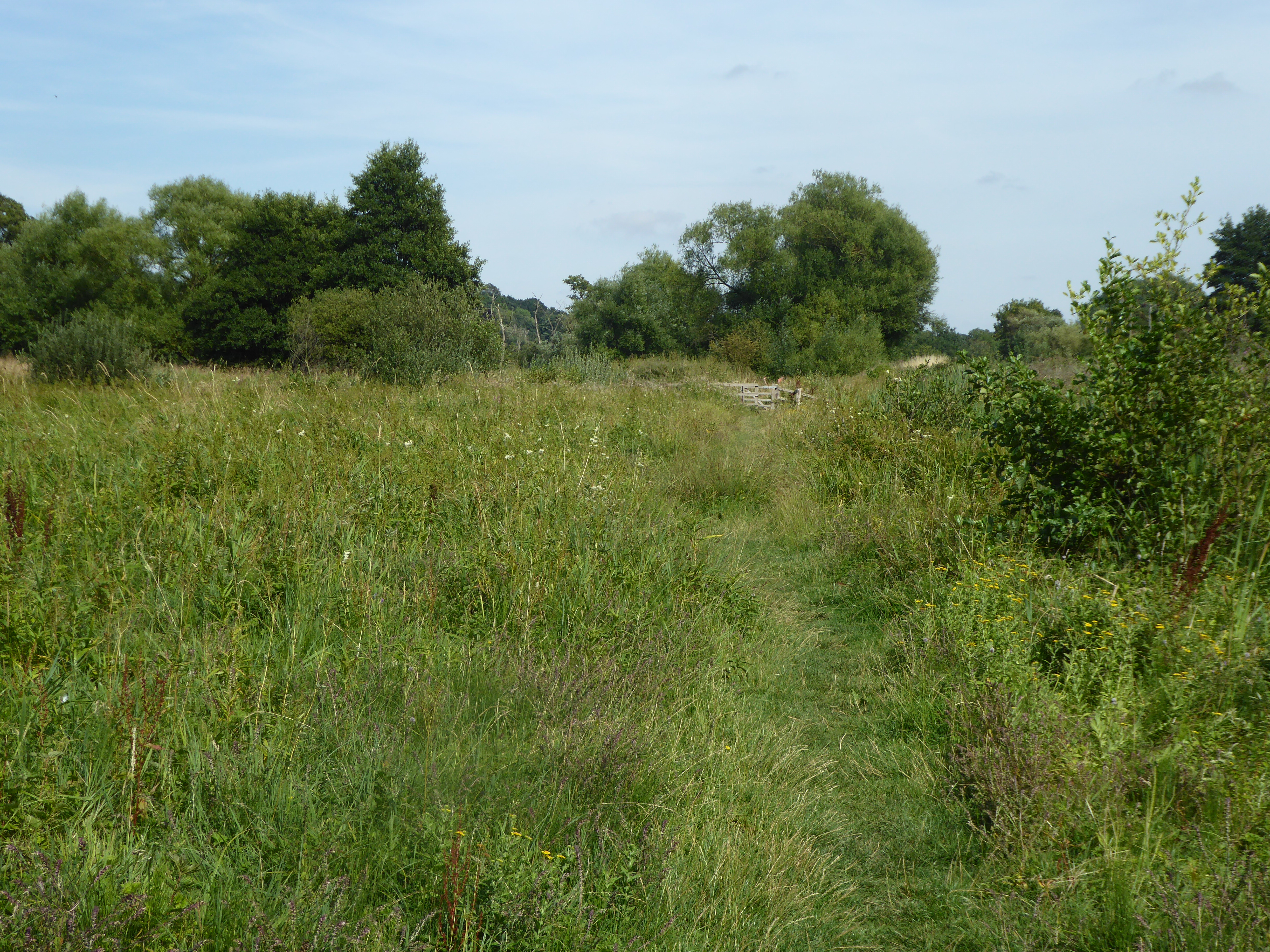 Marston Marshes