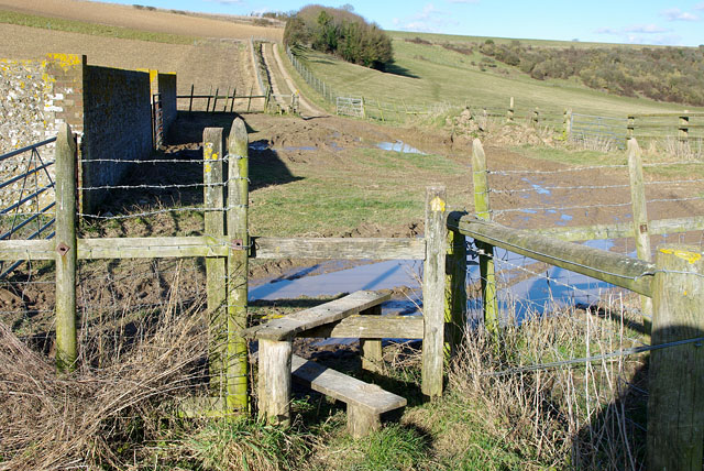 Mudbath_at_Cowbottom_Hovel_-_geograph.org.uk_-_1736208.jpg