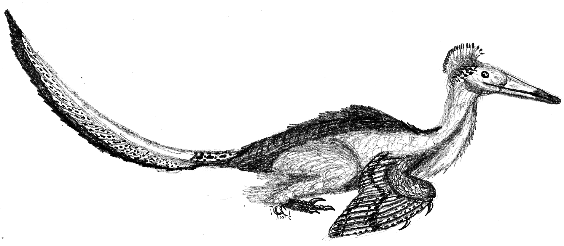 Neuquenraptor argentinus PaleoGeek W1 (Flipped).png