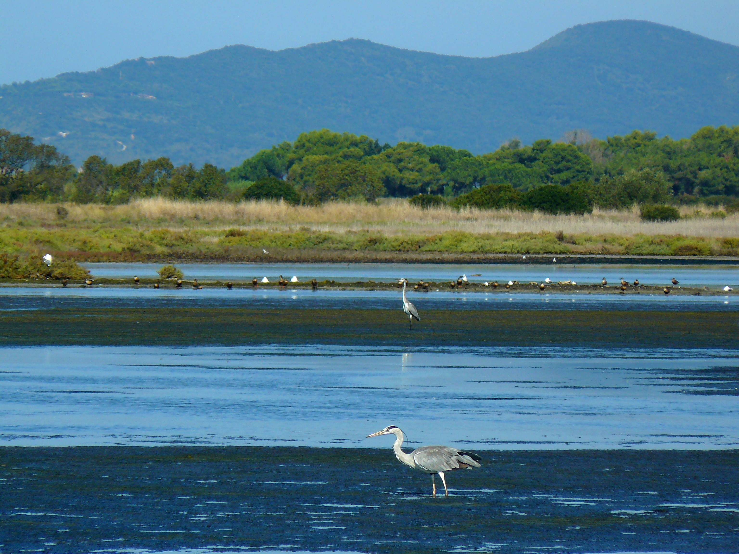 Oasi Orbetello.3.jpg