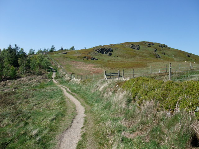 File:Offa's Dyke Path heading towards Penycloddiau - geograph.org.uk - 1317723.jpg