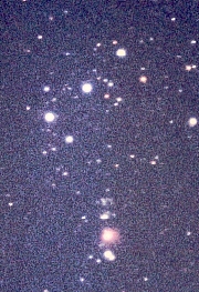 Stärebild Orion