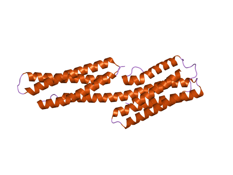 File:PDB 1zvz EBI.png