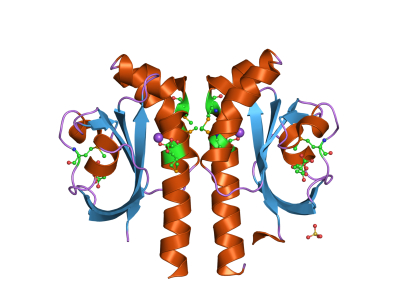 File:PDB 2j80 EBI.png