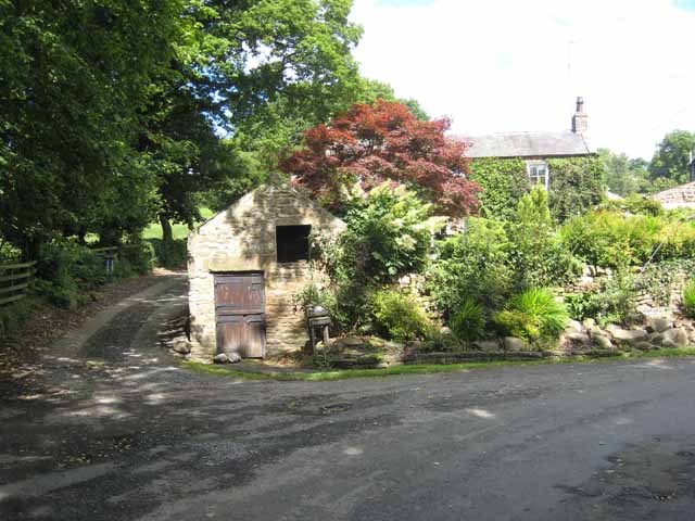 Juniper, Northumberland