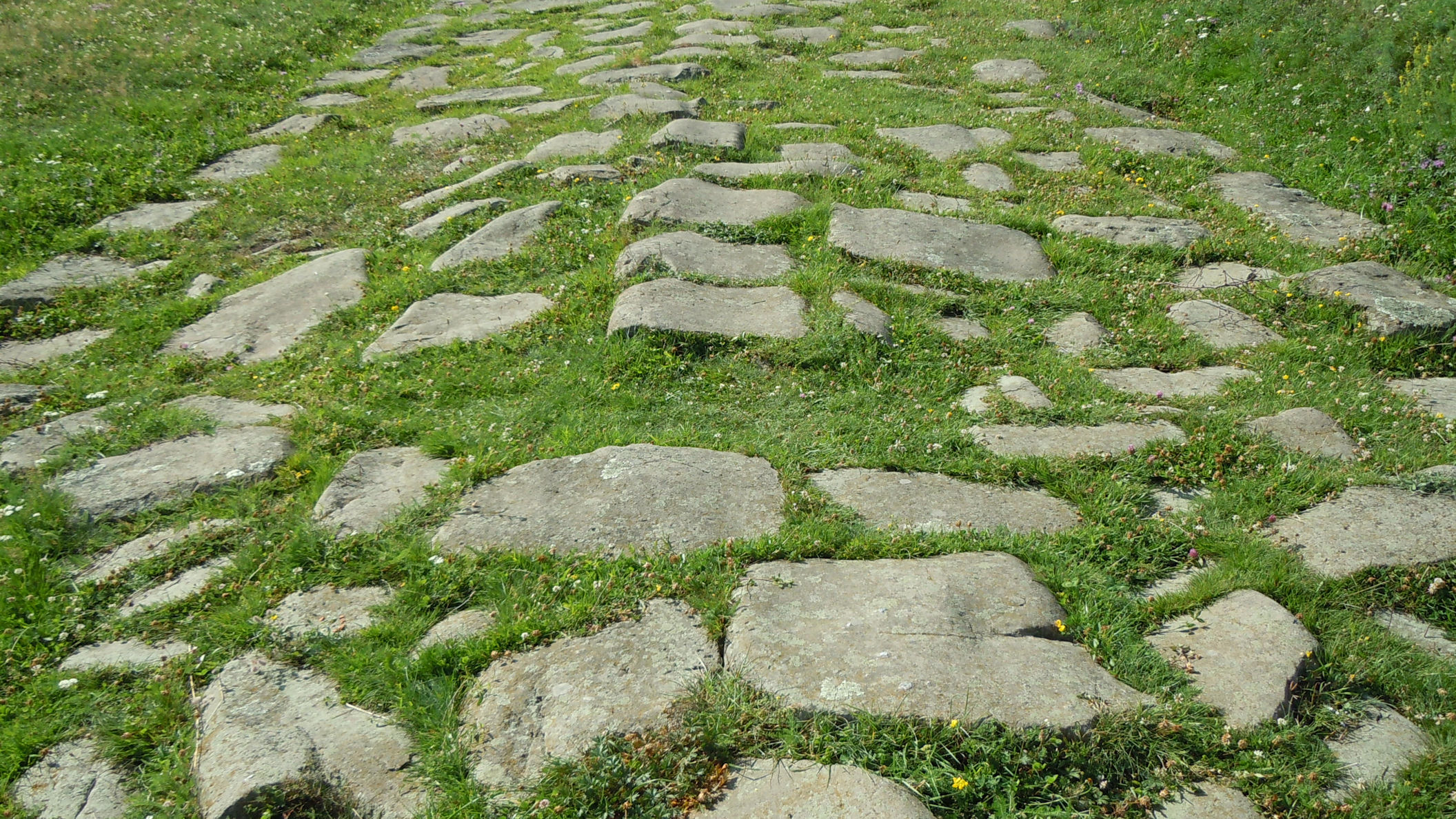 Большая дорога 7 букв. Римские дороги. Римские дороги в Крыму. Старинные римские дороги из камня фото.