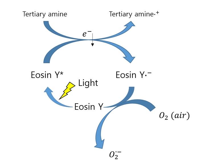 File:Proposed mechanism of regeneration of eosin.jpg