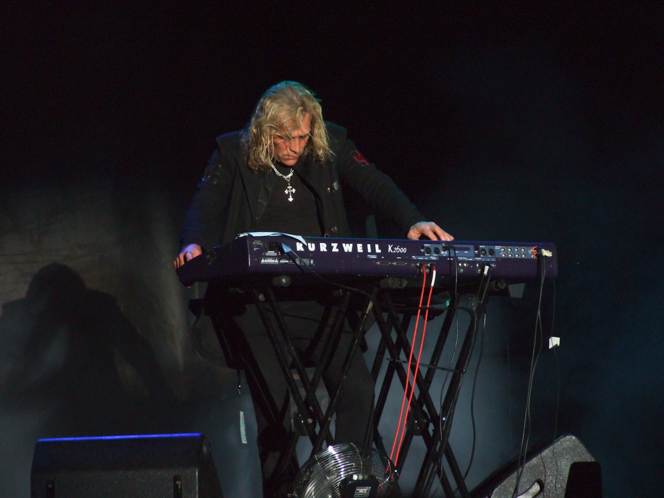 Warren performing in 2012