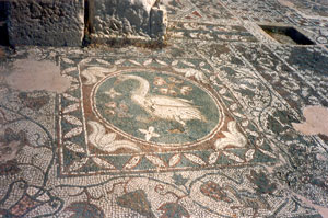 The swan mosaic at Soli