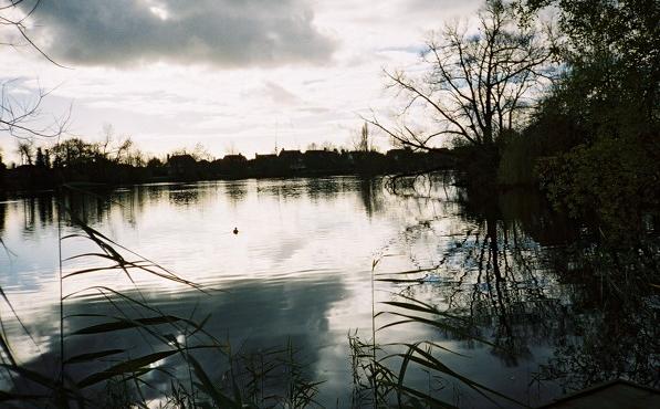 File:Summerleaze Lake - geograph.org.uk - 89697.jpg