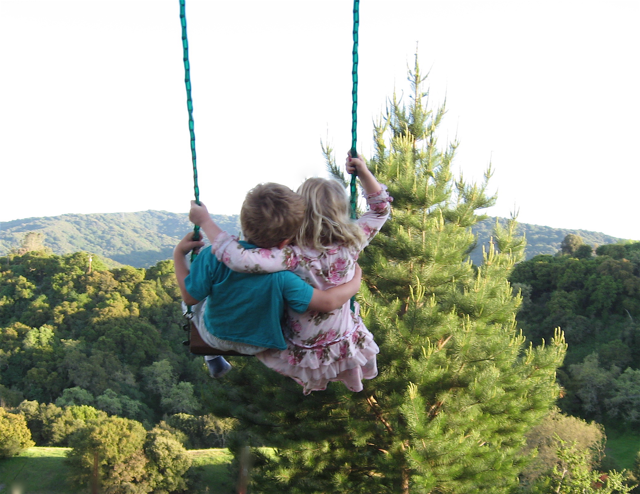 File Tenderness Swinging Into Spring Photo By Steve Jurvetson Jpg Wikimedia Commons