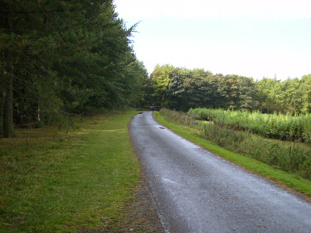 File:Track in Lambton Park west of The Grange - geograph.org.uk - 569325.jpg