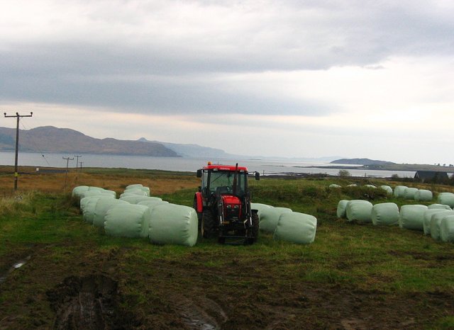 File:Tractor and silage bales, Breakish - geograph.org.uk - 70620.jpg