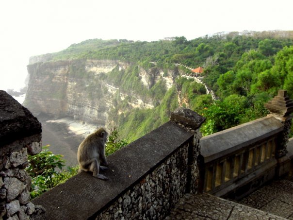 File:Ubud Monkey Forrest.jpg