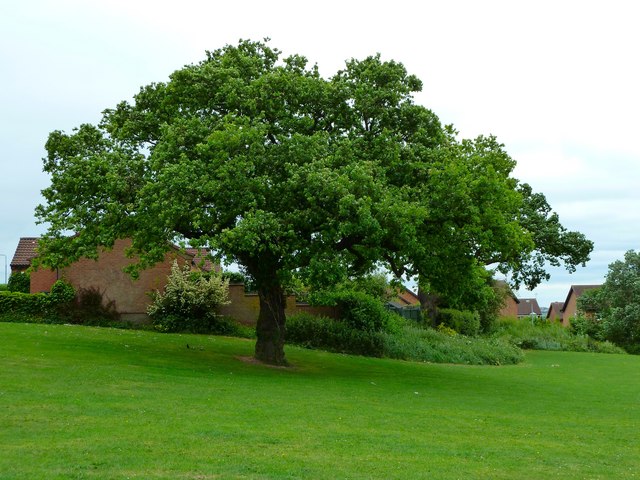 File:West Hallam Estate - geograph.org.uk - 2434540.jpg