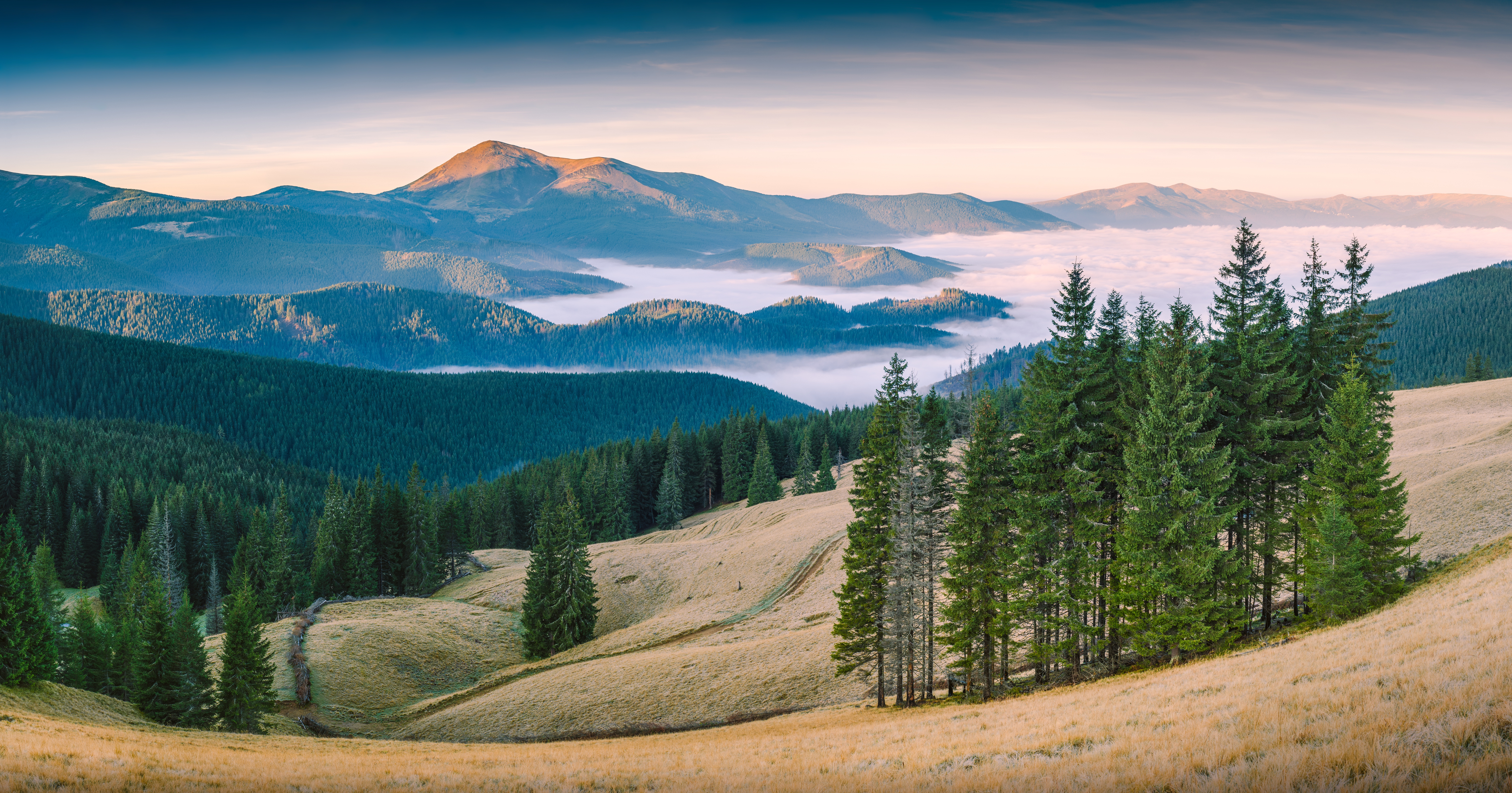 „Red Carpathian Mountains“: view of pine forests in Carpathian Biosphere Reserve, Zakarpattia Oblast, Ukraine, by Vitaliy Bashkatov (Vian)