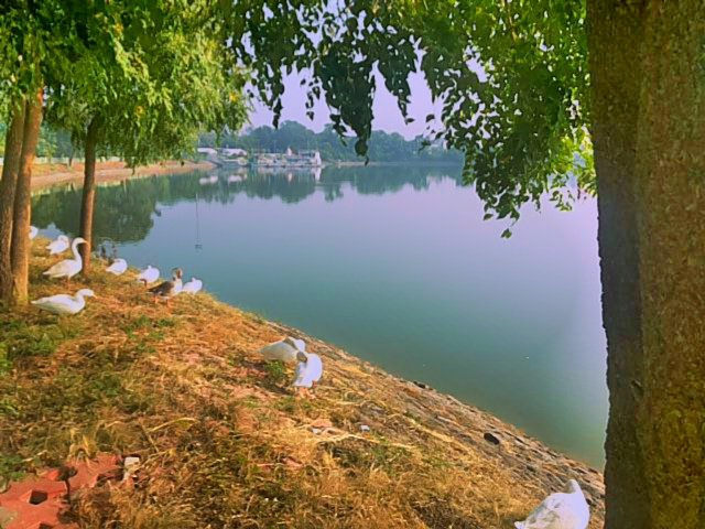 File:A lake at Pipliapala park Indore Madhya Pradesh.jpg