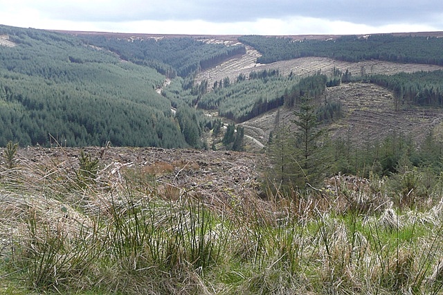 Above the Camcor River valley - geograph.org.uk - 1254073