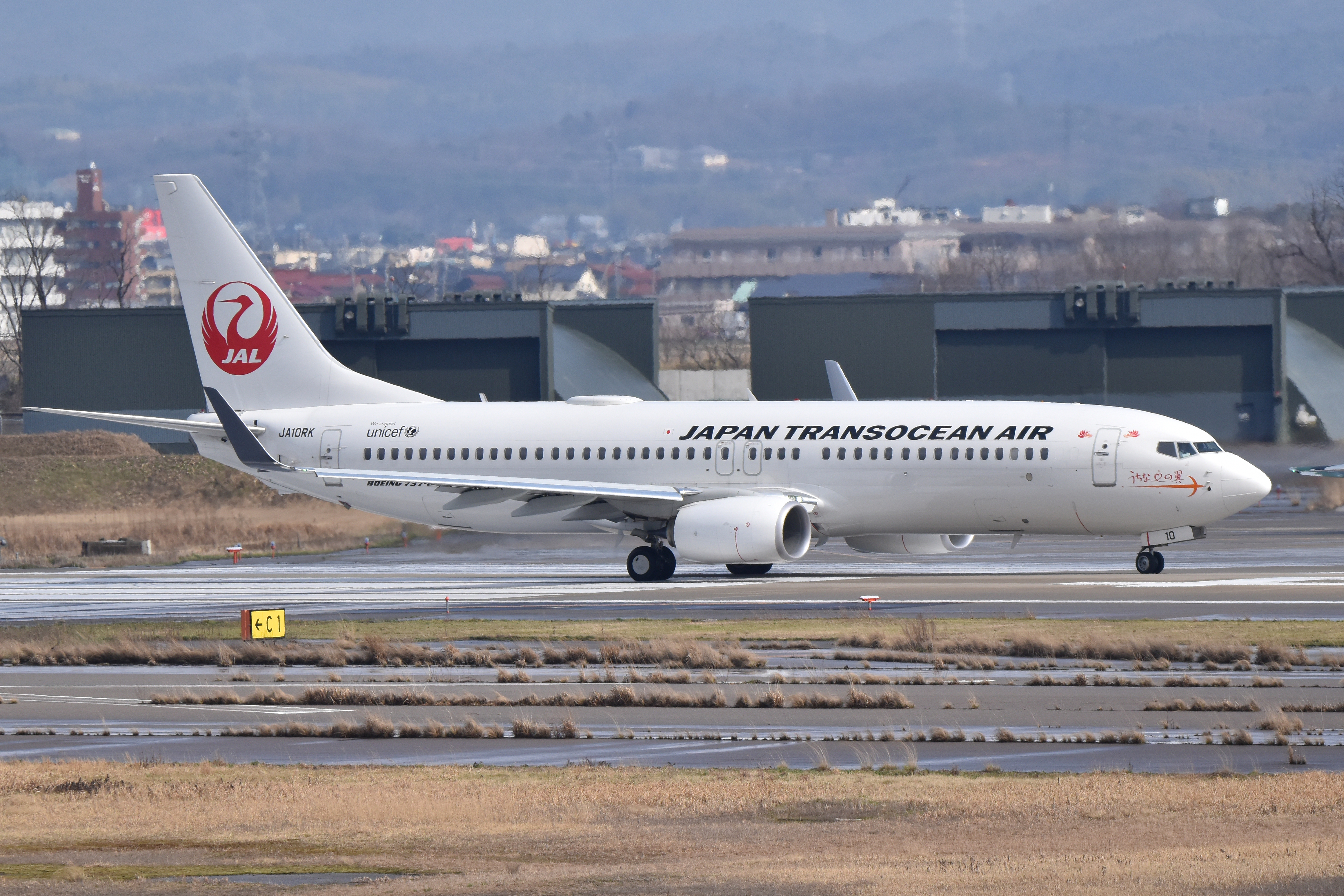 File:Boeing 737-800 'JA10RK' Japan Transocean Air (46935003525 